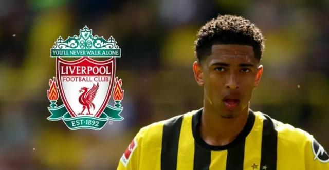 马背上的共生：马术里的优雅与默契（鞍上共舞：马术的优雅与默契）